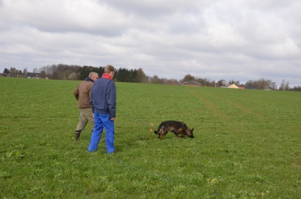 07 En time er gået og Oles hund skal nu finde 4 genstande, Arne er dommer